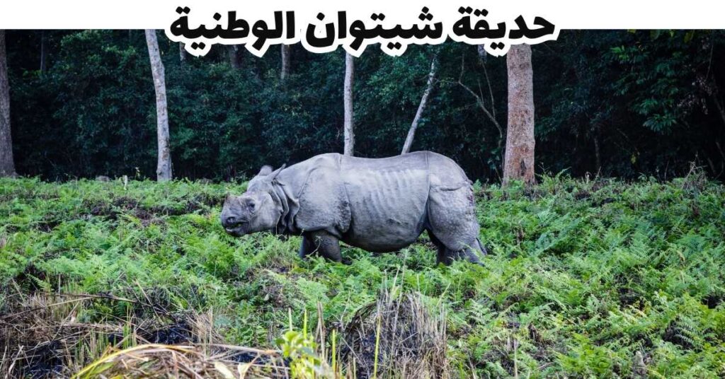 حديقة شيتوان الوطنية