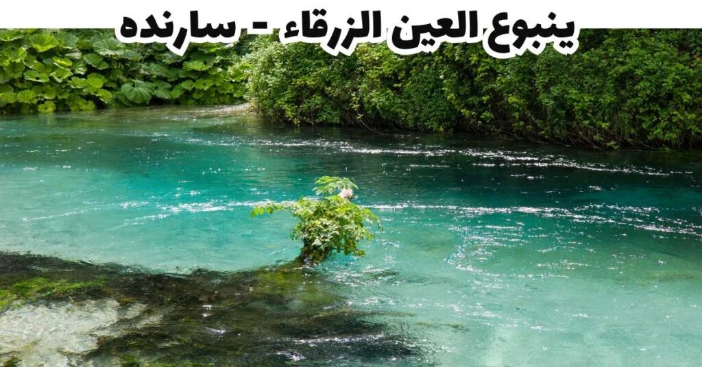  ينبوع العين الزرقاء  -  سارنده