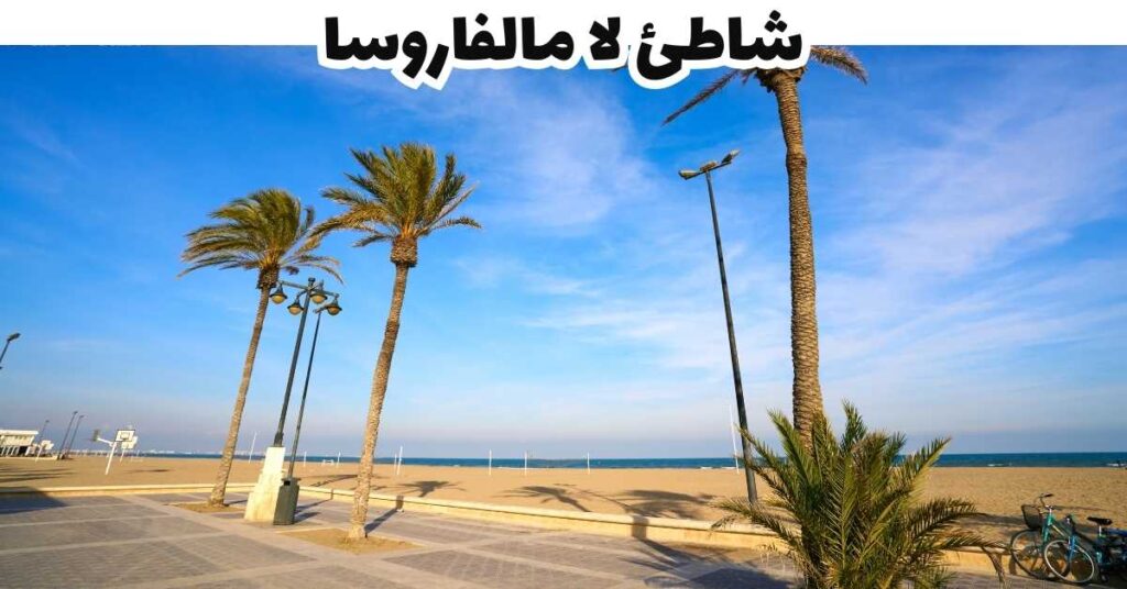 شاطئ لا مالفاروسا - فالسيا
