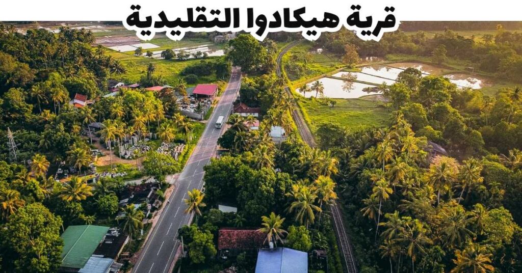 قرية هيكادوا التقليدية -  هيكادوا