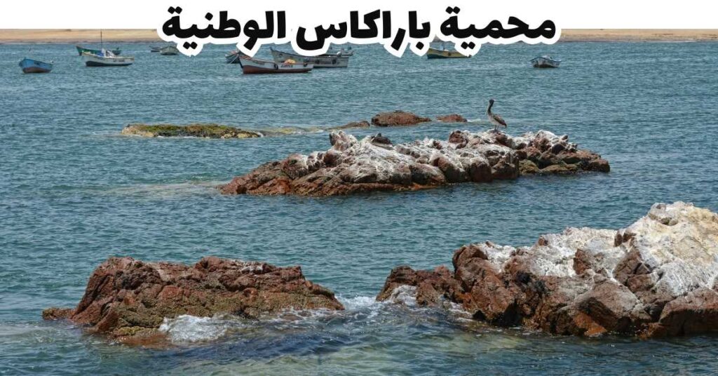 محمية باراكاس الوطنية - بيرو