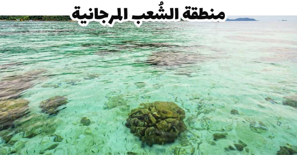 منطقة الشُعب المرجانية - كوه ليبي