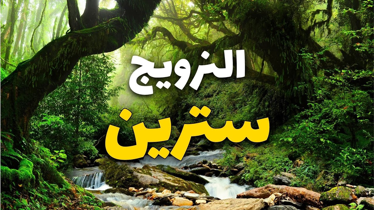 قرية سترين قلب النرويج: دليلك لأجمل الأنشطة وأهم معلومات