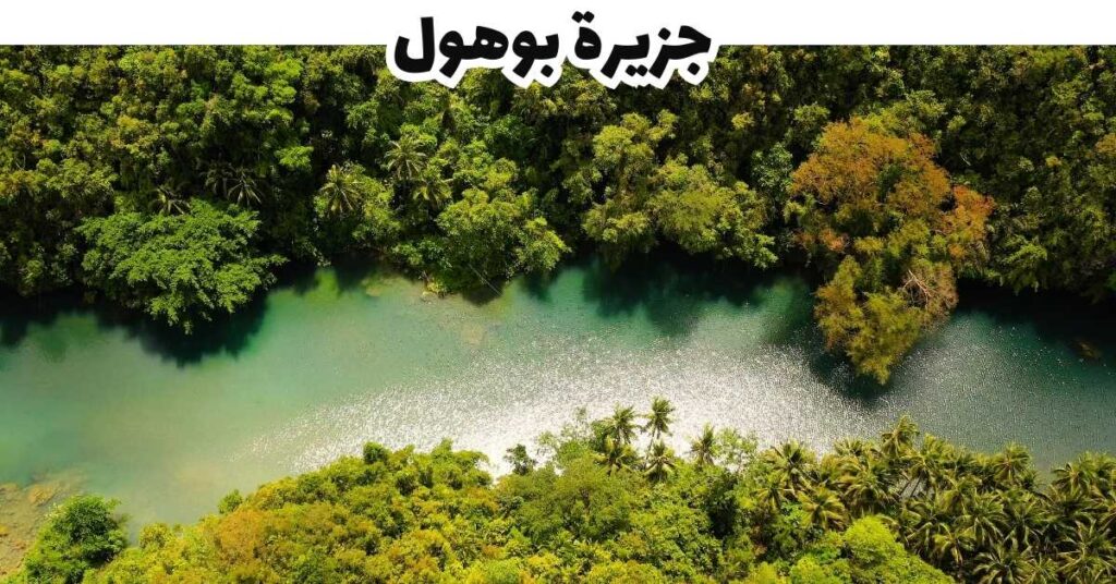 جزيرة بوهول  -  سيبو 