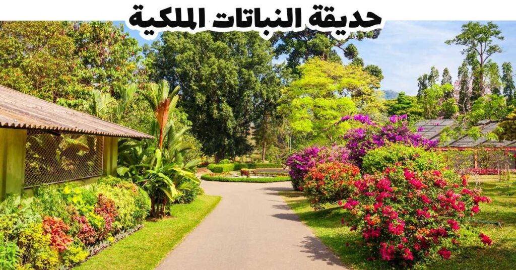 حديقة النباتات الملكية  -  موريشيوس