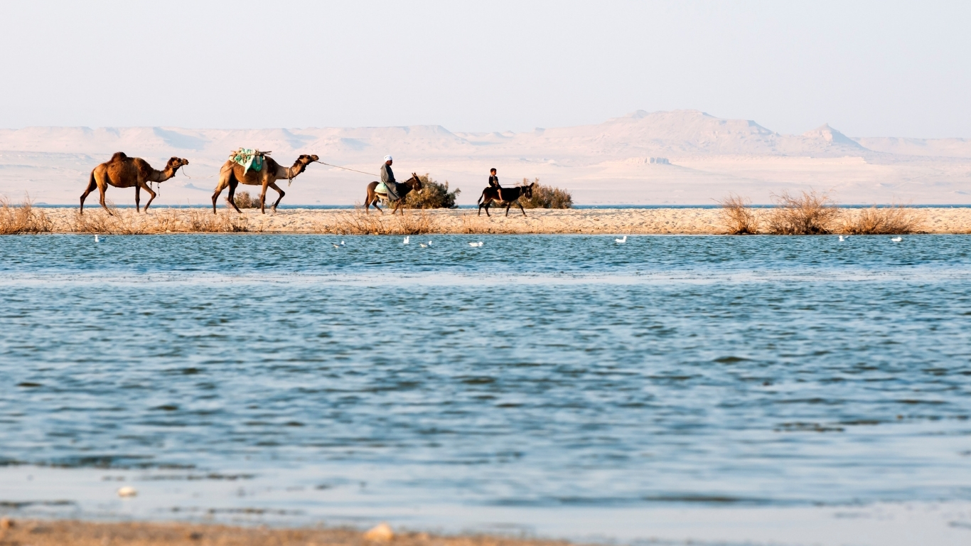 الفيوم مصر: أجمل 8 وجهات، التكاليف وأهم المعلومات