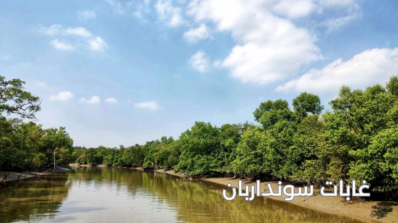 غابات سونداربان بنغلاديش